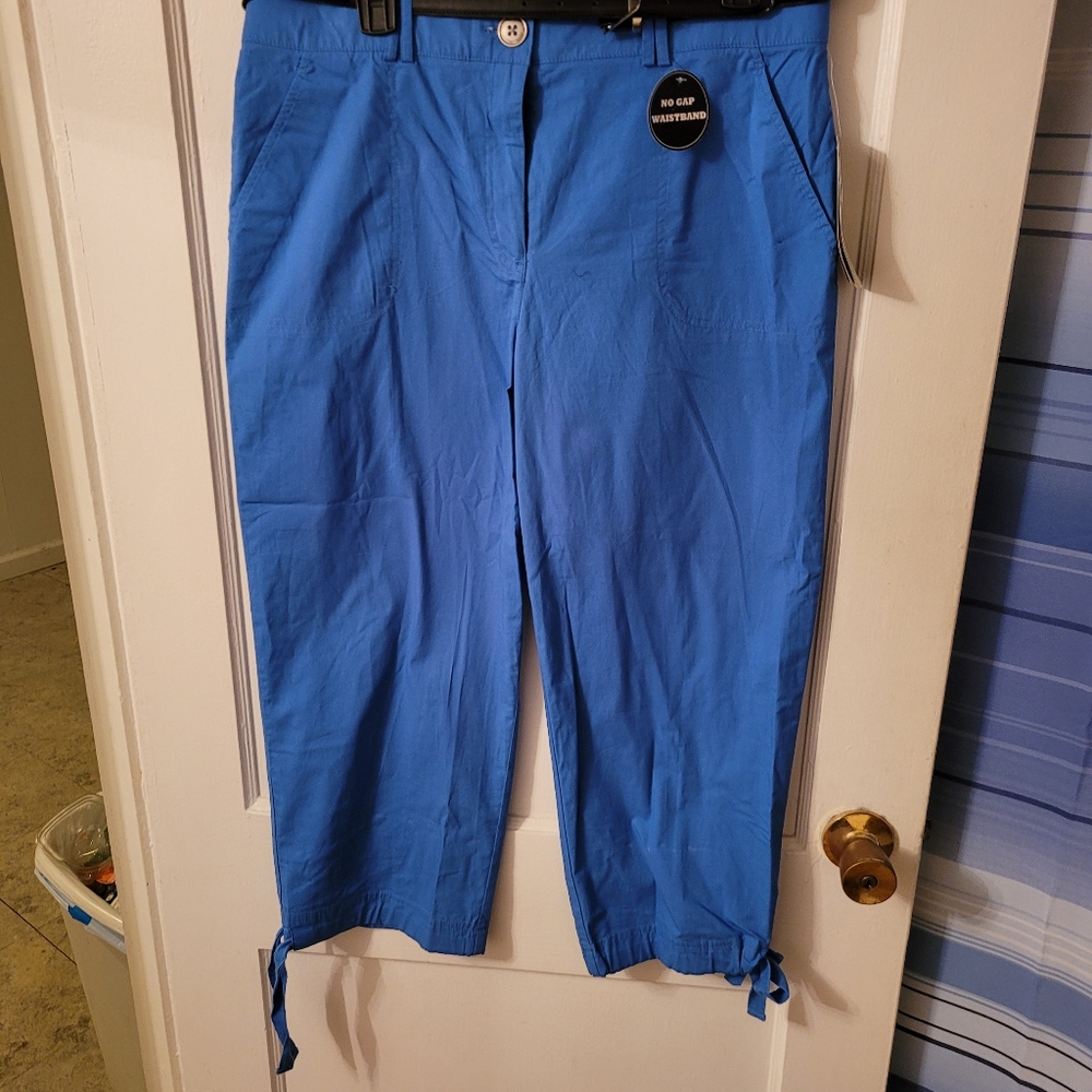 Counterparts Capri Pants 12